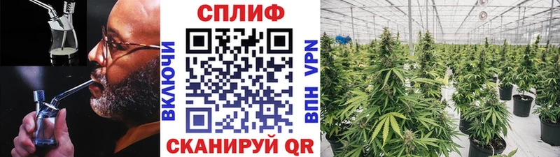 KRAKEN зеркало  купить   Верея  МАРИХУАНА семена 